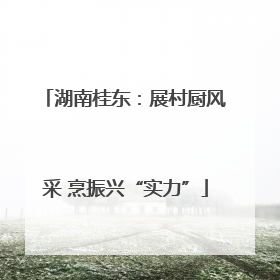湖南桂东：展村厨风采 烹振兴“实力”