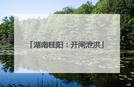 湖南桂阳：开闸泄洪