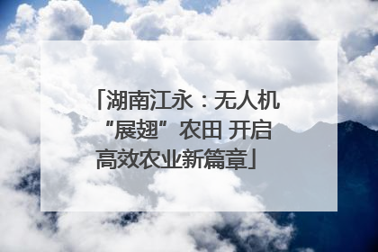 湖南江永：无人机“展翅”农田 开启高效农业新篇章