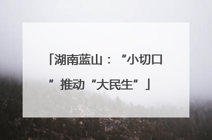 湖南蓝山：“小切口”推动“大民生”
