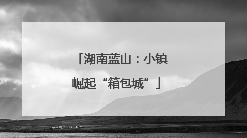 湖南蓝山：小镇崛起“箱包城”