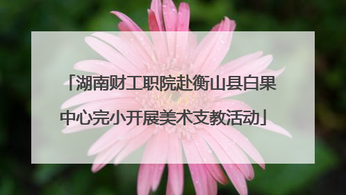 湖南财工职院赴衡山县白果中心完小开展美术支教活动