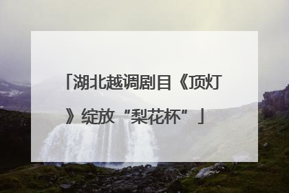 湖北越调剧目《顶灯》绽放“梨花杯”