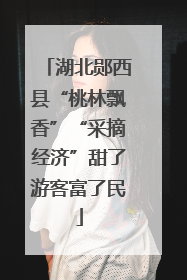 湖北郧西县“桃林飘香”“采摘经济”甜了游客富了民