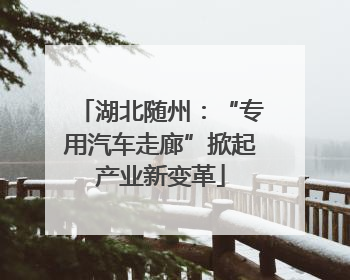 湖北随州：“专用汽车走廊”掀起产业新变革