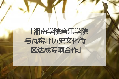 湘南学院音乐学院与瓦窑坪历史文化街区达成专项合作