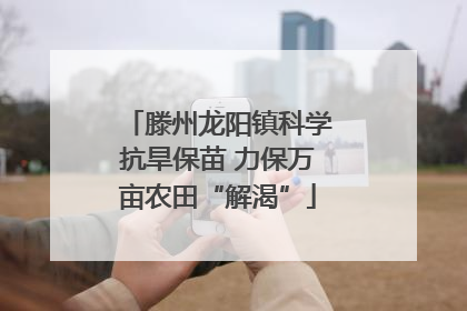 滕州龙阳镇科学抗旱保苗 力保万亩农田“解渴”