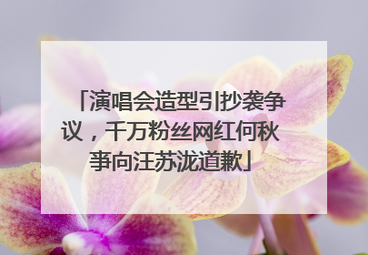 演唱会造型引抄袭争议，千万粉丝网红何秋亊向汪苏泷道歉