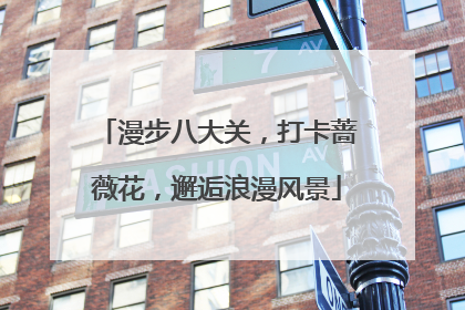 漫步八大关，打卡蔷薇花，邂逅浪漫风景