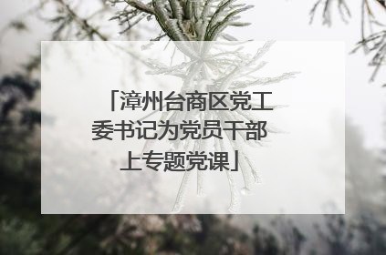 漳州台商区党工委书记为党员干部上专题党课