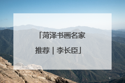 菏泽书画名家推荐｜李长臣
