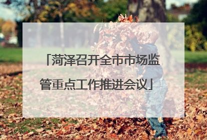 菏泽召开全市市场监管重点工作推进会议