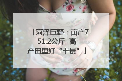 菏泽巨野：亩产751.2公斤  高产田里好“丰景”