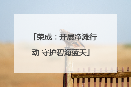 荣成：开展净滩行动 守护碧海蓝天