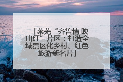 莱芜“齐鲁情 映山红”片区：打造全域景区化乡村、红色旅游新名片
