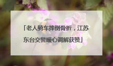 老人骑车摔倒骨折，江苏东台交警暖心调解获赞