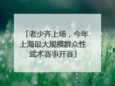 老少齐上场，今年上海最大规模群众性武术赛事开赛