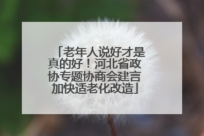 老年人说好才是真的好！河北省政协专题协商会建言加快适老化改造
