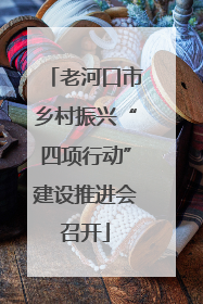 老河口市乡村振兴“四项行动”建设推进会召开