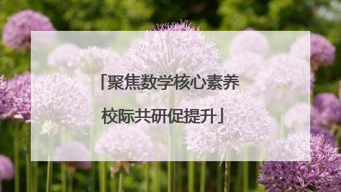 聚焦数学核心素养 校际共研促提升