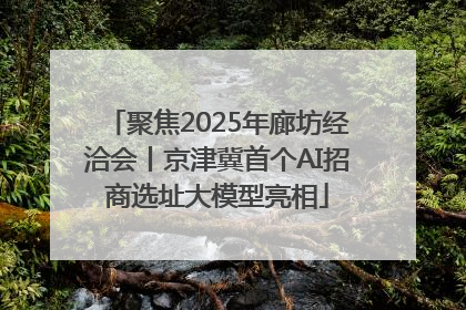 聚焦2025年廊坊经洽会丨京津冀首个AI招商选址大模型亮相