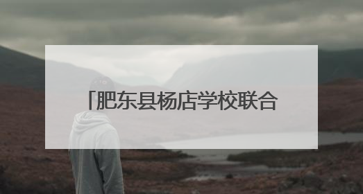 肥东县杨店学校联合八斗派出所举办安全教育志愿服务活动