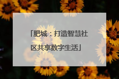 肥城：打造智慧社区共享数字生活