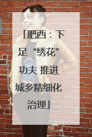 肥西：下足“绣花”功夫 推进城乡精细化治理
