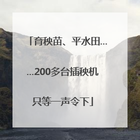育秧苗、平水田……200多台插秧机只等一声令下