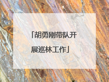胡勇刚带队开展巡林工作