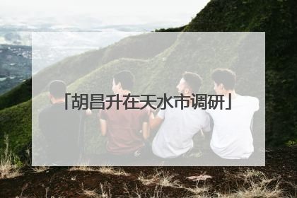 胡昌升在天水市调研