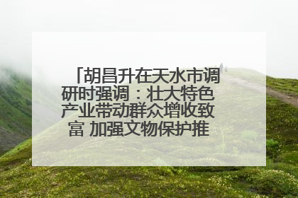 胡昌升在天水市调研时强调：壮大特色产业带动群众增收致富 加强文物保护推动文化创新发展