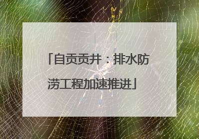 自贡贡井：排水防涝工程加速推进