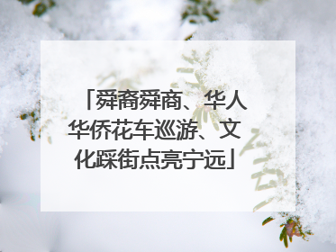 舜裔舜商、华人华侨花车巡游、文化踩街点亮宁远