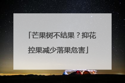芒果树不结果？抑花控果减少落果危害