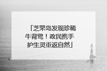 芝罘岛发现珍稀牛背鹭！政民携手护生灵重返自然
