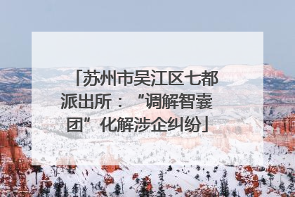 苏州市吴江区七都派出所：“调解智囊团”化解涉企纠纷
