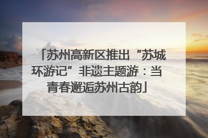 苏州高新区推出“苏城环游记”非遗主题游：当青春邂逅苏州古韵