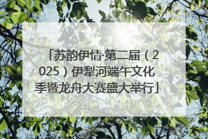 苏韵伊情·第二届（2025）伊犁河端午文化季暨龙舟大赛盛大举行