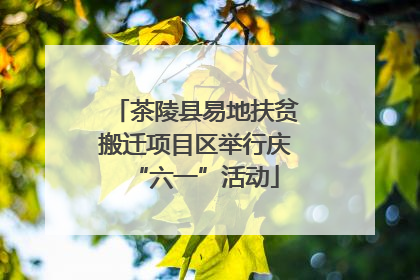 茶陵县易地扶贫搬迁项目区举行庆“六一”活动