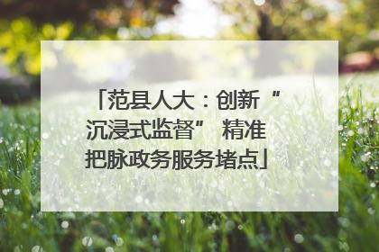 范县人大：创新“沉浸式监督” 精准把脉政务服务堵点
