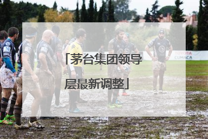 茅台集团领导层最新调整