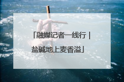 融媒记者一线行｜盐碱地上麦香溢