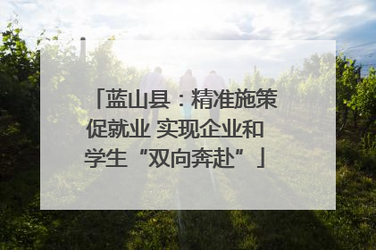 蓝山县：精准施策促就业 实现企业和学生“双向奔赴”