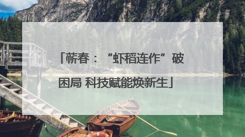 蕲春：“虾稻连作”破困局 科技赋能焕新生