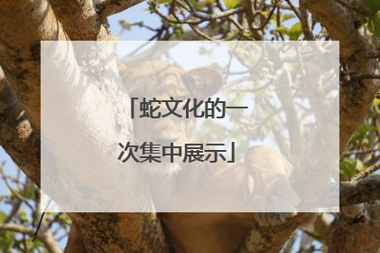 蛇文化的一次集中展示