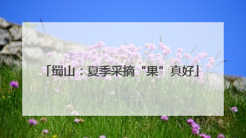 蜀山：夏季采摘“果”真好