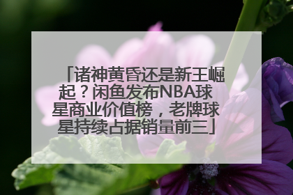 诸神黄昏还是新王崛起？闲鱼发布NBA球星商业价值榜，老牌球星持续占据销量前三