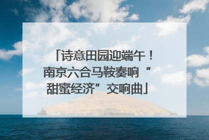 诗意田园迎端午！南京六合马鞍奏响“甜蜜经济”交响曲