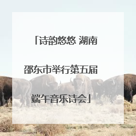 诗韵悠悠 湖南邵东市举行第五届端午音乐诗会